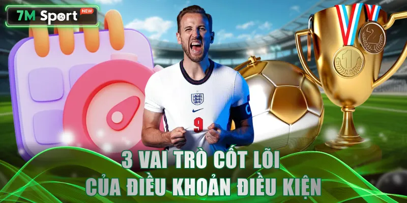 3 vai trò cốt lõi của điều khoản điều kiện