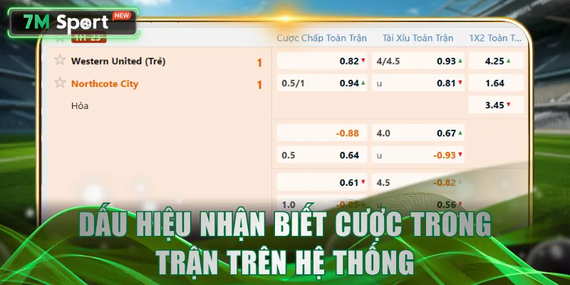 Dấu hiệu nhận biết cược trong trận trên hệ thống
