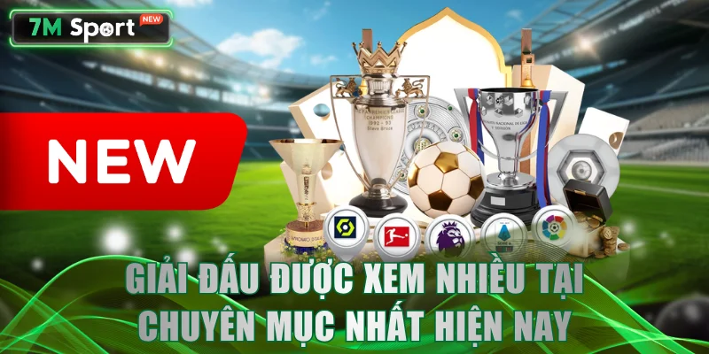 Giải đấu được xem nhiều tại chuyên mục nhất hiện nay